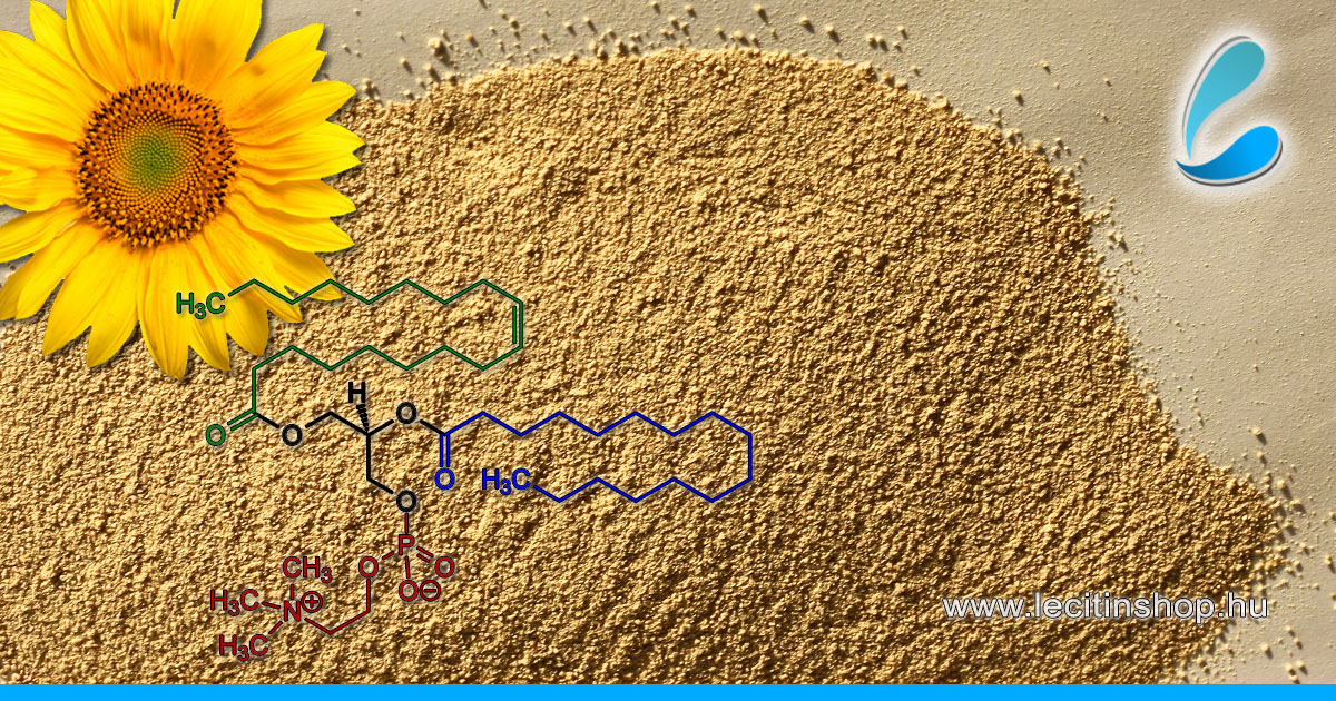 napraforgó lecitin fogyás