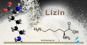 lizin l-lizin esszenciális aminosav
